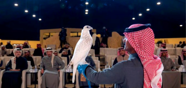 مهرجان الملك عبد العزيز للصقور 2026: فتح باب التسجيل – فرصة لا تُفوَّت للمتسابقين