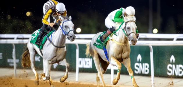 موسم سباقات الرياض يفتح أبوابه: 22 تجربة تفاعلية تنتظر عشاق الخيل