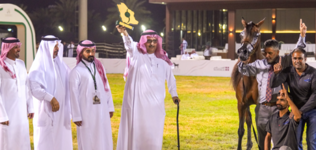 نوف عذبة تتألق وتخطف بطولة الأفراس في N Show 2026